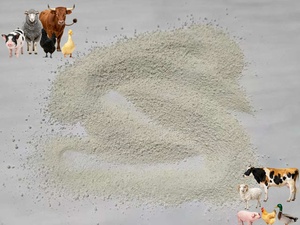 Ventas calientes al por mayor Precio de fábrica Ventas directas Aditivo blanco para aves de corral Dihidrato de fosfato de calcio/DCP 18% Polvo para animales - Product Image 3