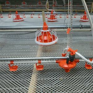 자동적인 동물성 automat 지류 먹이는 체계 - Product Image 4