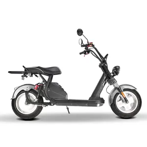 2024 nouveau design citycoco scooter électrique adulte électrique avec 1500w/2000w 3000w 60v moto électrique