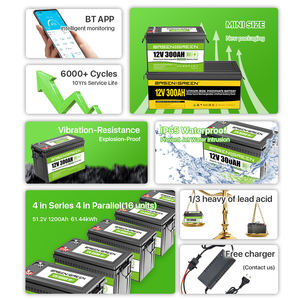 BASEN Emily-Salvo <span class=keywords><strong>12V</strong></span> 314ah LiFePO4バッテリー150A/200A BMS付きボートキャンピングカー用イタリア - Product Image 6