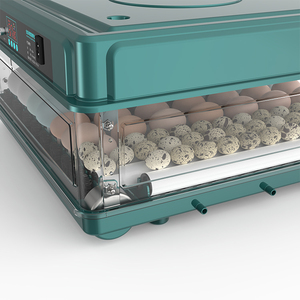 Full Automatic 10 Eggs Incubators Chicken Duck Goose Bird Egg Incubators for Sale - Product Image 4