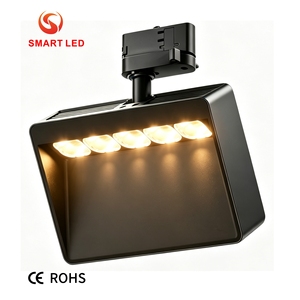 Projecteur mural LED RA80 Ra90 sur rail, haute puissance 15W 30W, avec fonctions Flood, Dali, 0-10V, Triac Dimmable, CE ROHS - Product Image 1