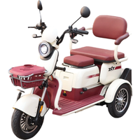 Tricycle Électrique Familial en Gros, Autonomie 70 km, Batterie Plomb-Acide 60V32AH, Moteur 1000W, Vélo Électrique Adulte, Scooter Tricycle à 3 Roues