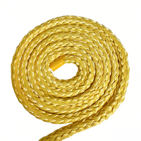 Corde en fibre d'aramide ignifuge NC 12 mm résistante aux UV, double tressage, haute résistance, diamètre personnalisable