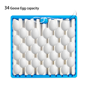 70 pcs bandeja de huevos automático de bandeja de huevos <span class=keywords><strong>turner</strong></span>/de plástico/de incubadora de bandeja de huevos para la venta - Product Image 2