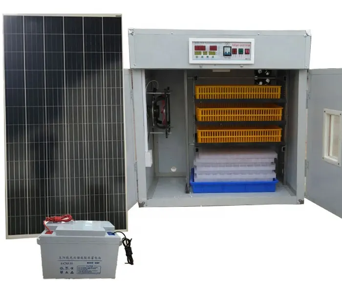 Incubadora de huevos de energía Solar, Panel Solar con batería, certificado CE, aprobado