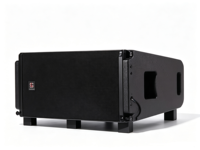 Système de sonorisation de concert passif professionnel Bi-Amp 8 Ohm Line Array Speaker avec double haut-parleur néodyme de 10 pouces LS-ERA20
