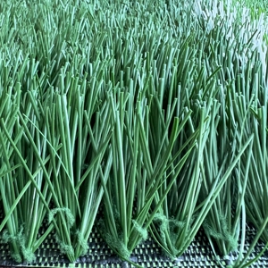 <span class=keywords><strong>Gazon</strong></span> artificiel de <span class=keywords><strong>remplissage</strong></span> de gros pour la salle de sport, <span class=keywords><strong>gazon</strong></span> de football de 50mm pour terrain de football, <span class=keywords><strong>gazon</strong></span> <span class=keywords><strong>synthétique</strong></span> clair et vert foncé pour le football - Product Image 4