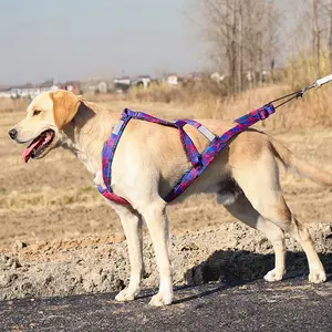 宠物训练X背部软垫狗重量拉线束训练雪橇背心哈士奇反光大狗带线束