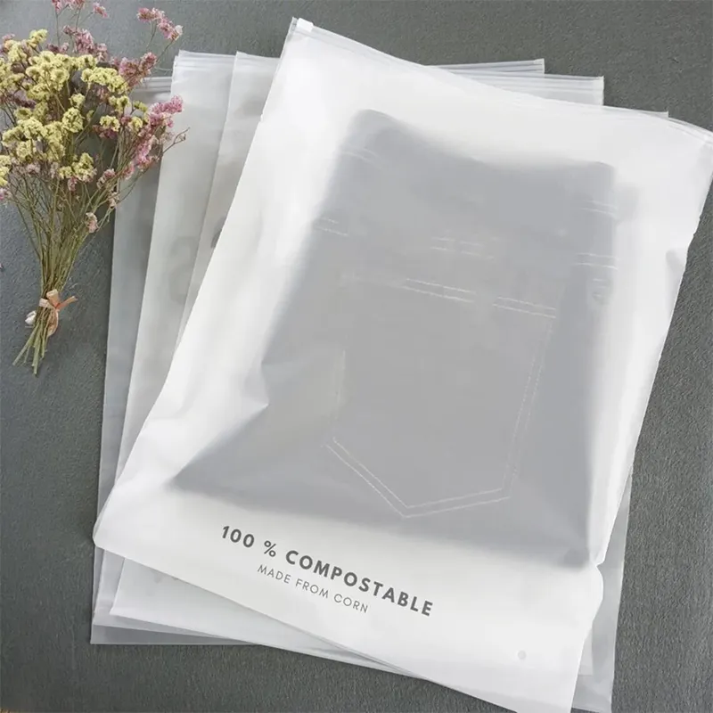 Özel baskılı Logo fermuarlı ambalaj çantası plastik kullanımlık çevre dostu açılıp kapanabilir buzlu şeffaf kilitli çanta