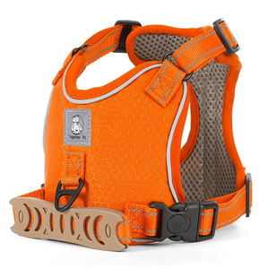 Produsen grosir harnes anjing Harness berjalan lembut sejuk Harness hewan peliharaan untuk anjing kecil - Product Image 2