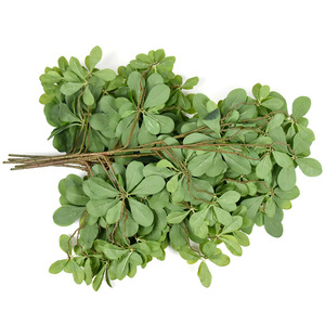 Hojas <span class=keywords><strong>de</strong></span> Árbol <span class=keywords><strong>de</strong></span> <span class=keywords><strong>Almendro</strong></span> Artificial <span class=keywords><strong>de</strong></span> Madagascar, <span class=keywords><strong>de</strong></span> Plástico Ecológico, Altamente Realistas, para Decoración Navideña y <span class=keywords><strong>de</strong></span> Año Nuevo, Accesorios <span class=keywords><strong>de</strong></span> Fábrica - Product Image 4