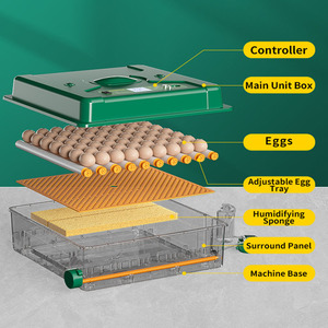 Công suất trứng 128 cung cấp năng lượng kép tự động độ ẩm gà trứng ấp trứng Máy Ấp Trứng - Product Image 3