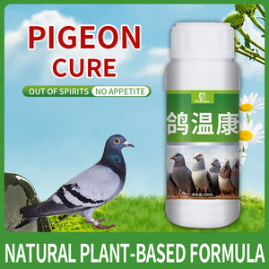 風邪と呼吸器の問題を伴うハトのための鳥の健康栄養パワー医薬品のための有用なサプリメント - Product Image 2