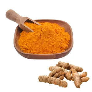 100% Poudre de curcuma biologique naturelle fraîche Assaisonnements pour aliments et boissons Herbes et épices saines séchées Alimentaire de haute qualité