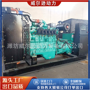 Grupo Electrógeno de Turbina de Gas Weifang de 120kW, 380/220V, Unidad de Energía Industrial de Biogás - Product Image 2