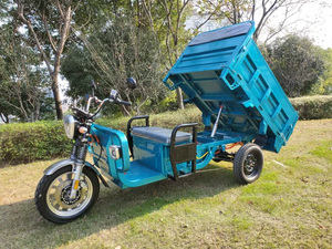 Camión Volquete Eléctrico Agrícola de Tres Ruedas de Servicio Pesado COC EEC 45KM/H 25KM/H en Almacén de Alemania - Product Image 2