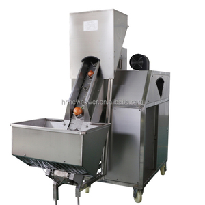 Machine automatique de découpe de racines d'oignon, machine à peler les oignons et l'ail, machine à retirer les têtes et les queues, prix - Product Image 5