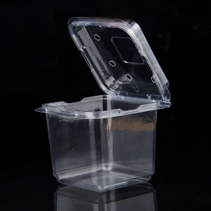 XIEFAクリアプラスチックフルーツ容器野菜ボックス透明カスタムロゴ可 - Product Image 3