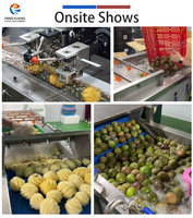 Fengxiang Grote Capaciteit RVS 304 Mango Verwerkingslijn Fruit Groenten Automatische Voedings- Was- en Blancheringsmachine 1