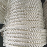 Ligne de quai pour bateau/yacht/marine Caractéristique durable et haute résistance Corde d'amarrage torsadée en nylon PET pour l'agriculture marine