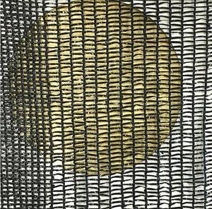 Toile d'ombrage pour l'agriculture en plein air, serre, <span class=keywords><strong>filet</strong></span> d'ombrage 35% 50% 65% 80% 90% 95% - Product Image 1