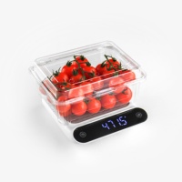 Conteneur à fruits en PET empilable, de qualité alimentaire, écologique, transparent, en forme de coquille, pour légumes, fruits de mer, logo personnalisé, myrtille, mûre
