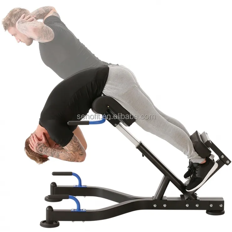 Senaofit Hoge Kwaliteit Gym Sport Apparatuur 45 Graden Onderrug Extensions Oefening Bench