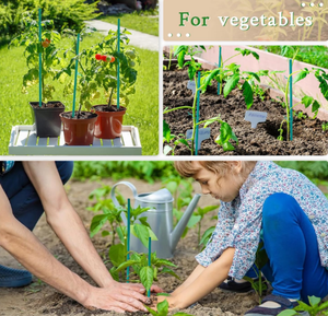 Tiges de soutien pour plantes en fibre de verre extrudée, durables et lisses, pour l'agriculture et le jardinage - Product Image 6