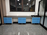 Tables de travail de laboratoire modernes pour la chimie, bancs avec armoire de rangement, en acier et en bois, pour les écoles et les hôpitaux