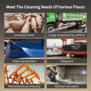 Lavadora de coche de agua caliente con alta presión 150Bar Limpiador de vapor Excelente estado Bomba de plástico eléctrica Motor Nuevo - Product Image 2