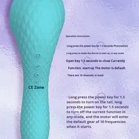 Vibrateur double tête transfrontalier à 10 fréquences de vibration, rechargeable par micro-prise CC, non lubrifié, écologique, avec fonction Cross Hot Arc Shock Ball
