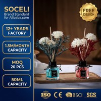 Diffuseur de parfum en gros OEM 50 ml personnalisé avec emballage sur mesure pour l'image de marque d'entreprise