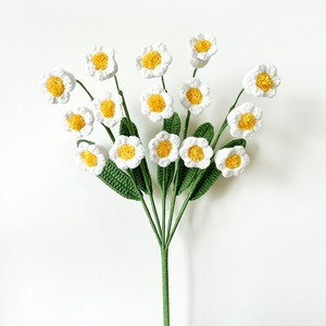 Ramo de flores eternas tejido a mano con hilo, claveles de ganchillo para el Día de la Madre, flor tejida, regalo festivo - Product Image 6