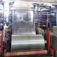 Rouleau de plastique tissé en polypropylène PP de 54 cm, 60 cm, 80 cm pour la fabrication de sacs transparents