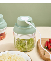 Broyeur à ail électrique Portable, 100ML, nouveau Mini appareil Usb pour aliments, légumes et viande