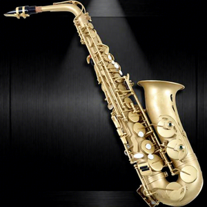Saxophone alto Eb vintage professionnel de qualité supérieure en laiton, fabriqué en usine, avec finition résistante à la rouille et étui de haute qualité - Product Image 1
