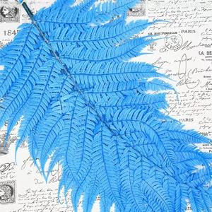 Decorazione per la casa in stile nordico foglia di felce conservata usata san valentino e decorazione di nozze - Product Image 3