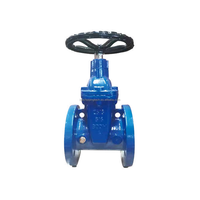 Vanne à opercule manuelle à bride MECH de haute qualité PN10 PN16 DN150, tige non élévatrice, revêtement époxy fusionné, pour eau, support personnalisé