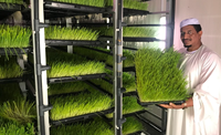 Système hydroponique intelligent et écologique Seedafarm pour la production de fourrage, équipement contrôlé par PLC, garantie 1 an, conteneur de 7000 kg