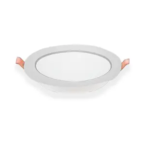 Panel Light Ceiling Copper Light Downlight LED Spotlight Ceiling 20W 25W Recessed Round Slim Living Room Light