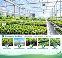 Complete set voor aardbeienkweek in kas: NFT-gootsysteem voor substraat