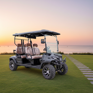 Voiturette de golf 4 places grande capacité pour les zones touristiques et le transport de groupes - Product Image 2