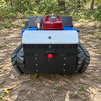 Tondeuse à fléaux télécommandée CE DT1000C, 1000 mm, 18 CV, diesel, pour le défrichement des terres