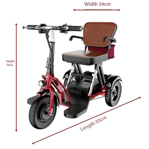 Bicicleta Eléctrica Plegable para Adultos, Motor Trasero sin Escobillas de 350W (Tracción Simple/Doble), Batería de Litio de 48V 8-20Ah, Alcance de 30-55KM, 3 Velocidades - Product Image 3