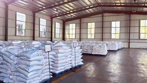 Additif alimentaire Phosphate disodique anhydre <span class=keywords><strong>E339</strong></span>(<span class=keywords><strong>ii</strong></span>) Émulsifiant et tampon pour fromages et produits laitiers - Product Image 6