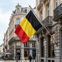 Bendera Belgia Kustom Ukuran 3x5 Kaki; Bendera Promosi Luar Ruangan Bahan Polyester Non-woven; Papan Tanda Cetak Digital Tahan UV