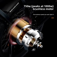 Vélo Électrique Pliant Transfrontalier 20 Pouces, Moteur Arrière 750W, 48V 15AH, Unisexe, Léger, pour Commuter en Ville