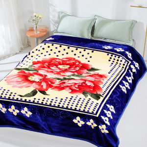 Manta de las cuatro estaciones en relieve de Raschel coreano de 2 capas con estampado personalizado súper suave, 100% poliéster, dibujos animados sólidos, tamaño King - Product Image 1