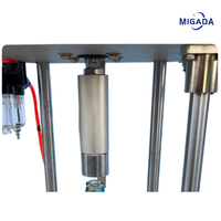 Machine de capsulage pneumatique semi-automatique pour bouteilles de bière en verre, livraison rapide, pour capsules couronne 26 mm